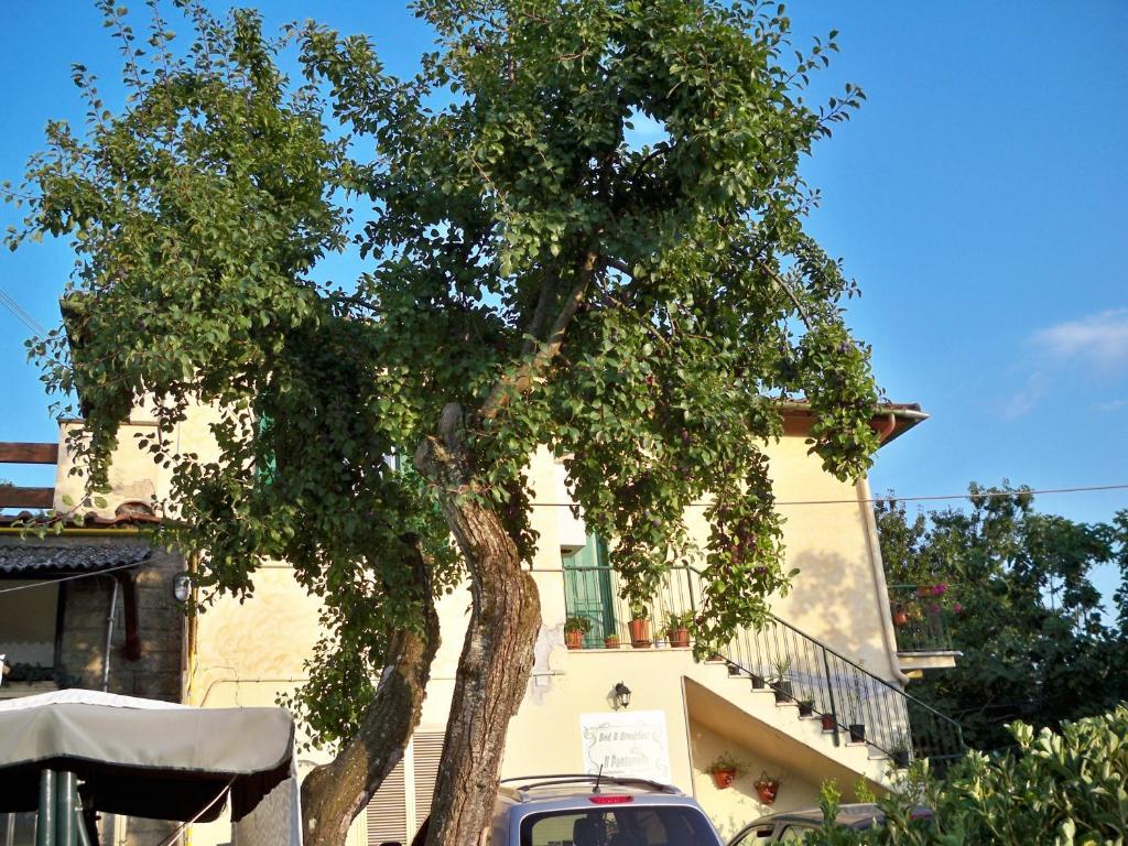B&B Il Pantanello Rocca Di Papa Extérieur photo